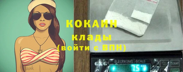 твердый Балахна